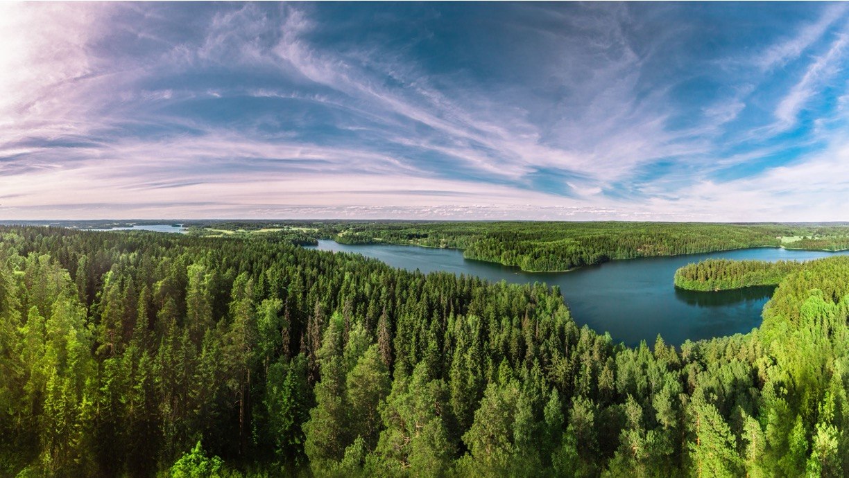 Finland Forestry Heartland